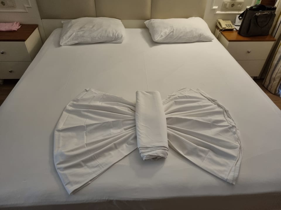 Zimmer Well Palace Side