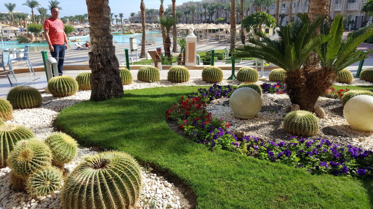 Gartenanlage Pickalbatros Palace Resort