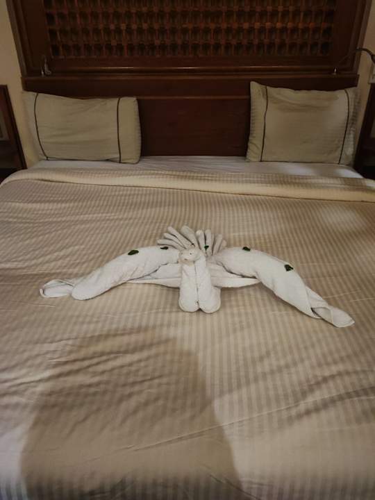 Zimmer Grand Waterworld Makadi & Family Star Makadi