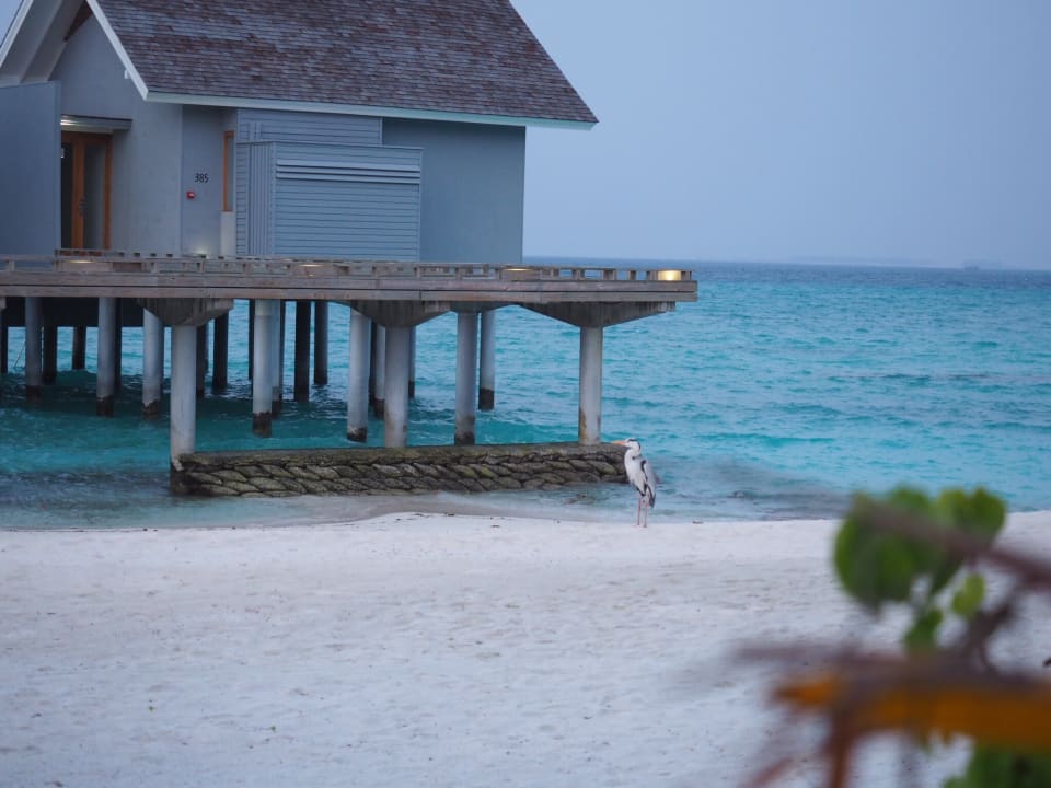 Wasservilla Kuramathi Maldives