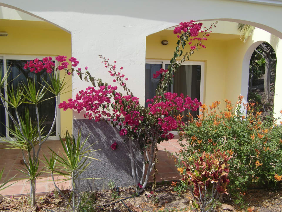 Zimmer AluaVillage Fuerteventura