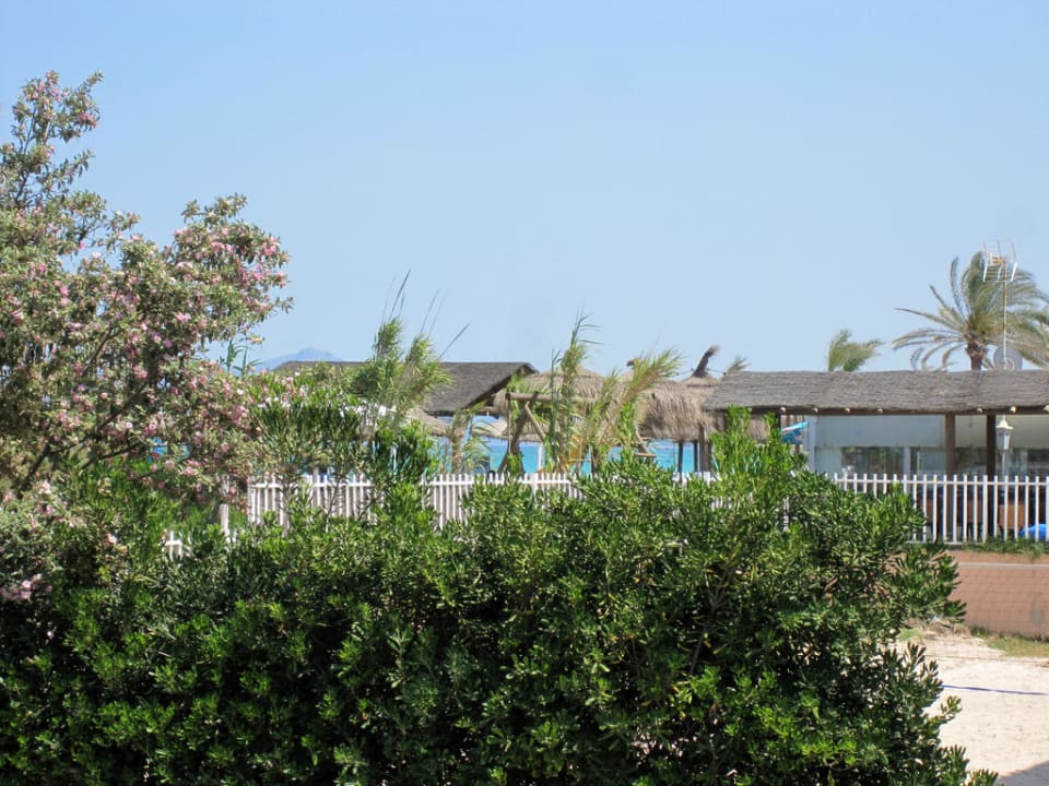Am Volleyballplatz Playa Garden Selection Hotel & Spa