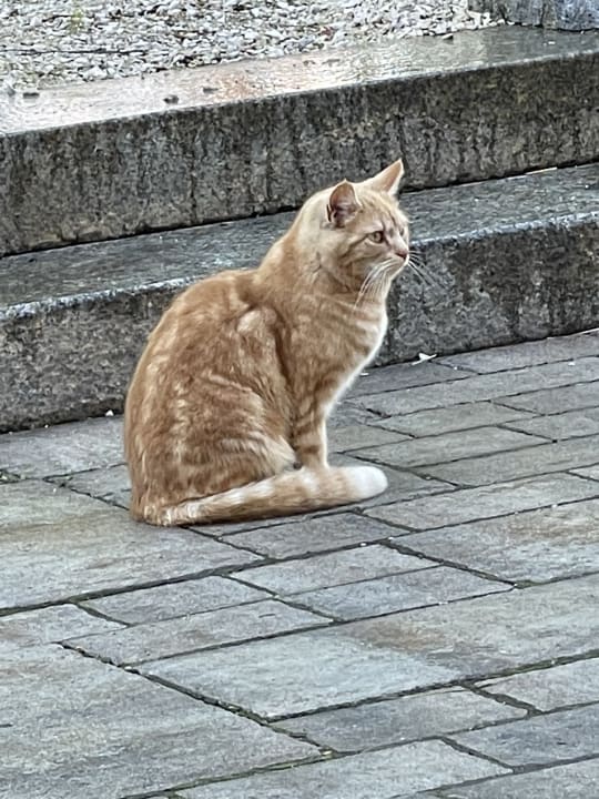 Sonstiges  Thomahof