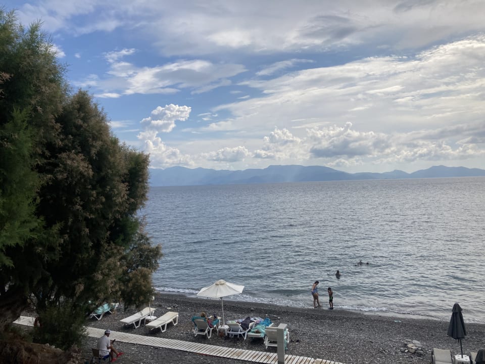 Strand Dimitra Beach Hotel & Suites