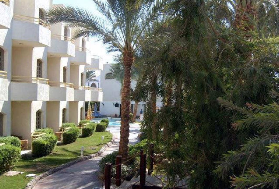 Hotel view Gafy Resort