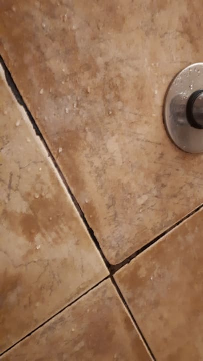 Zimmer Pickalbatros Citadel Resort