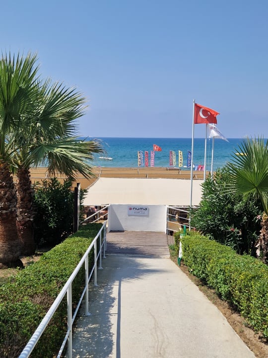 Sonstiges allsun Numa Club Side