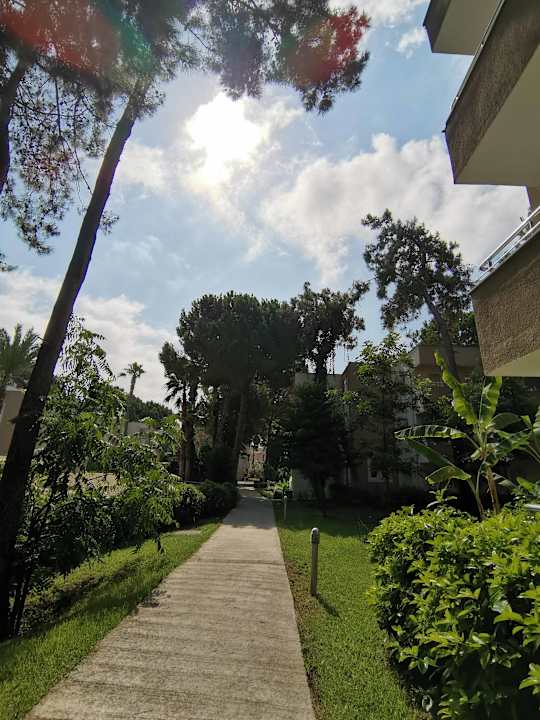 Gartenanlage Club Sidelya Hotel