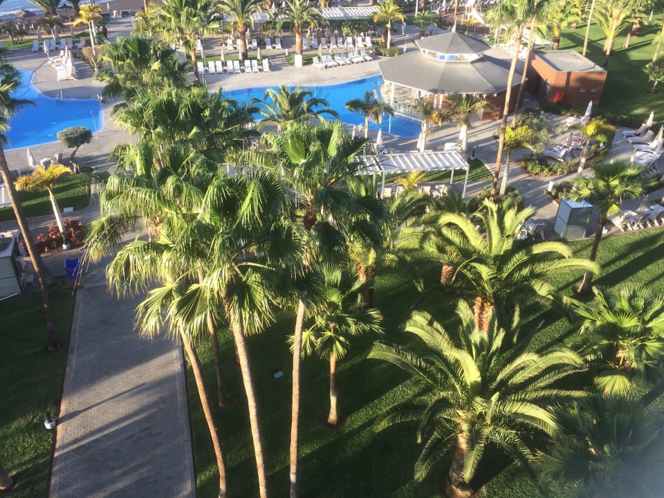 Ausblick Hotel Riu Palace Tenerife
