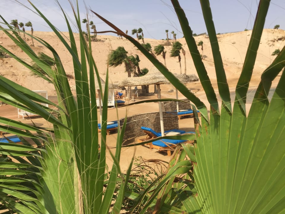 Strand Pickalbatros Citadel Resort