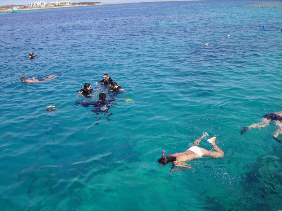 Snorkling Stella Beach Resort & Spa Makadi Bay