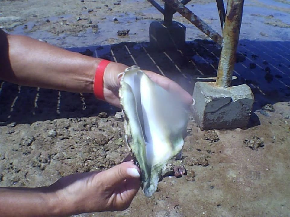 Strand Pickalbatros Royal Moderna Resort-Sharm El Sheikh