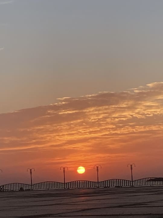 Ausblick Desert Rose