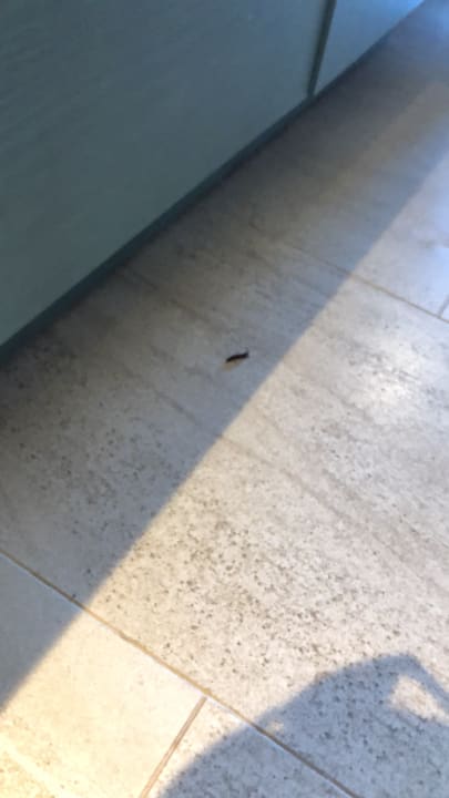 Zimmer Lopesan Costa Bávaro Resort, Spa & Casino