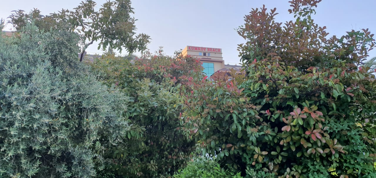 Gartenanlage Sunis Kumköy Beach Resort Hotel & Spa