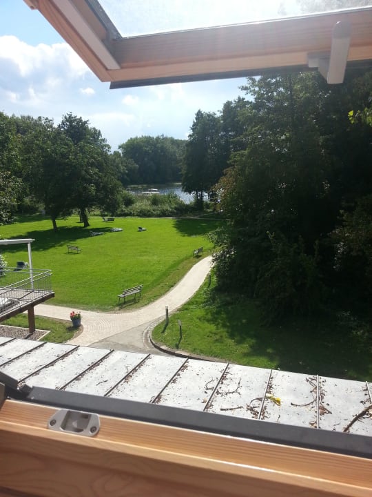 Ausblick aus dem Zimmer Richtung See Seehotel Frankenhorst - BW Signature Collection