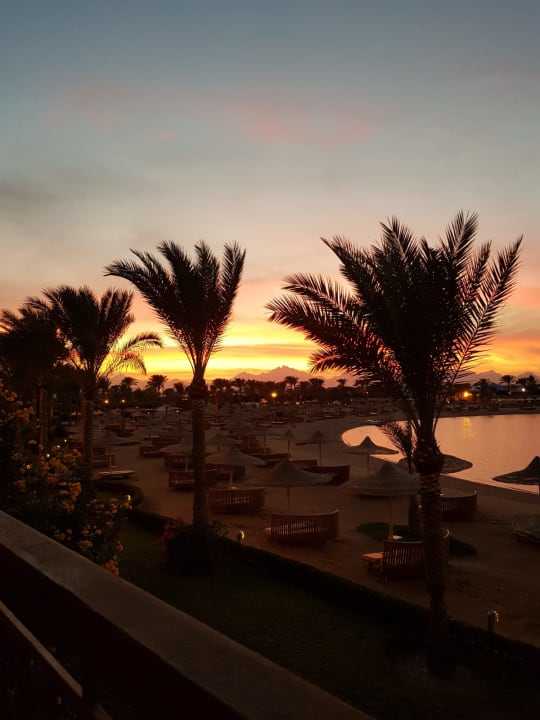 Ausblick Desert Rose