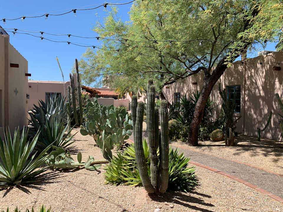 Gartenanlage Hotel Lodge on the Desert