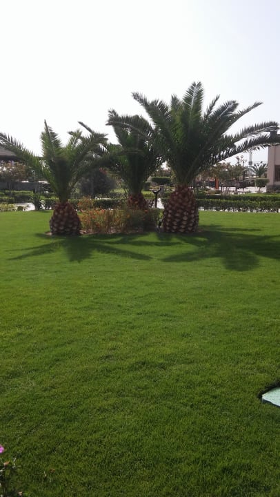 Gartenanlage Gravity Hotel & Aqua Park Hurghada