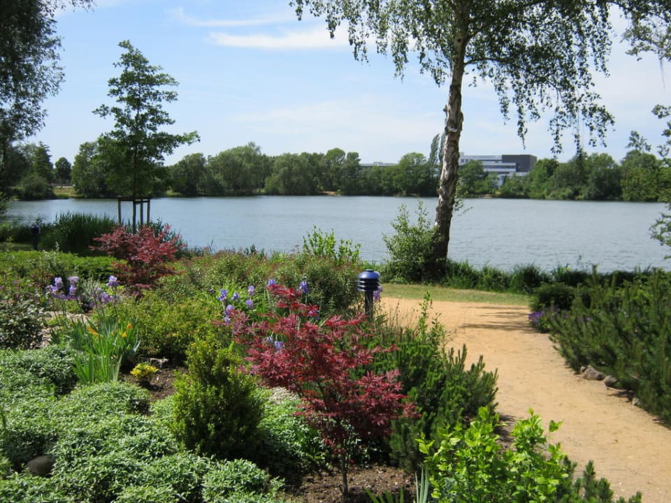 Ausblick zum See See Park Janssen