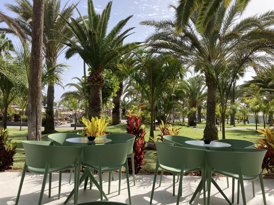 Gartenanlage Hotel Riu Gran Canaria