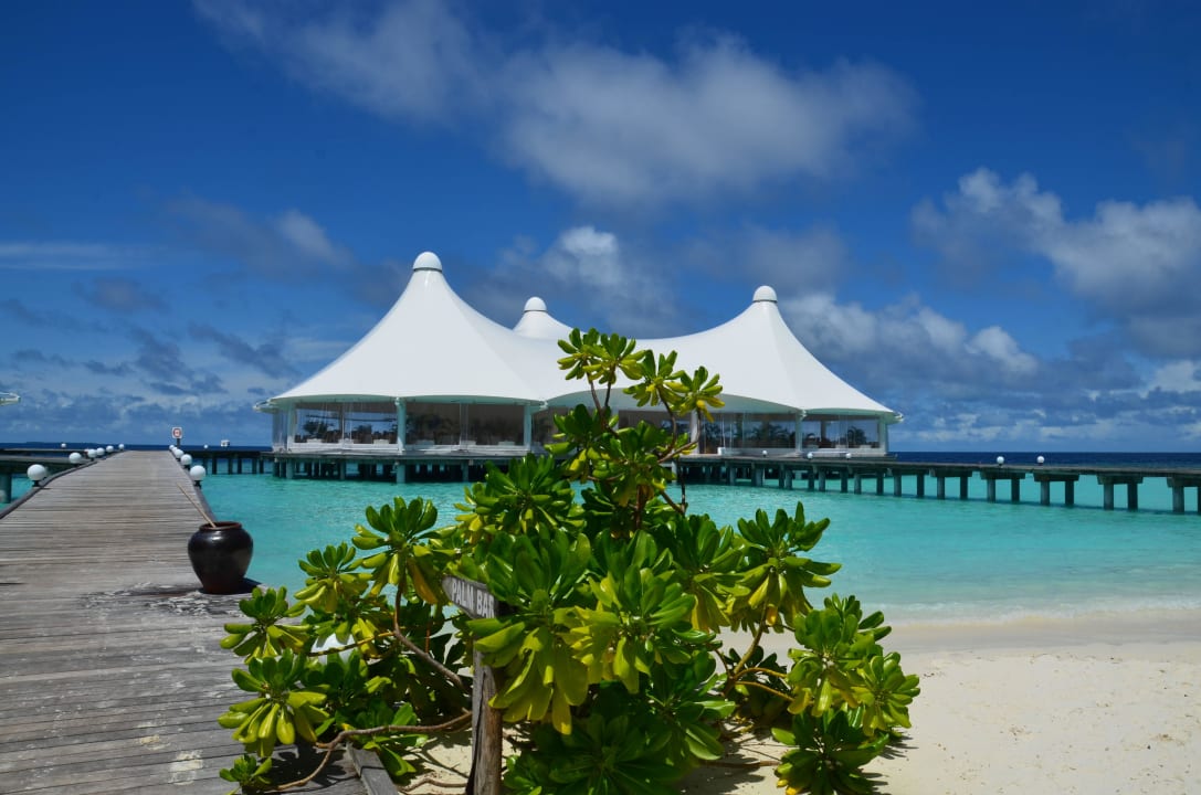 Restaurant Safari Island Maldives