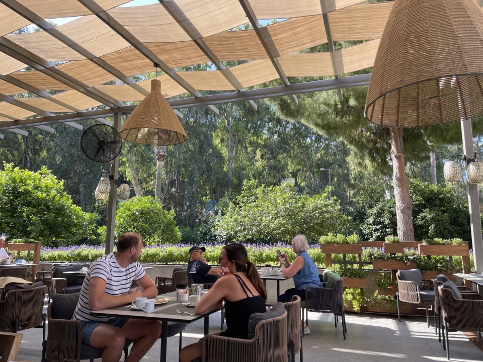 Gastro Arum Barut Collection