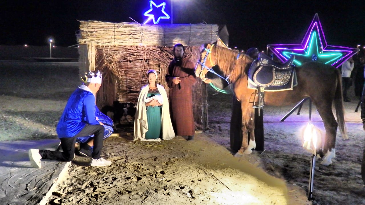 Sonstiges Pickalbatros Sea World Resort - Marsa Alam