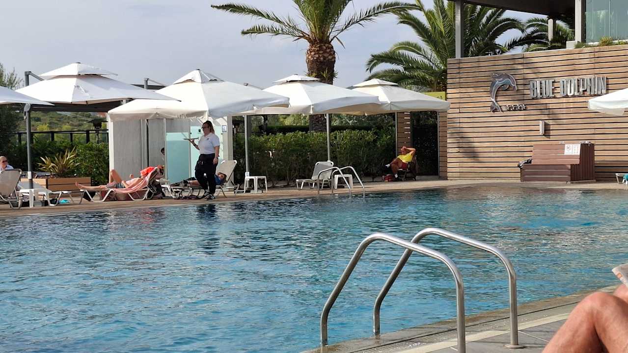 Pool Blue Dolphin Resort Hotel