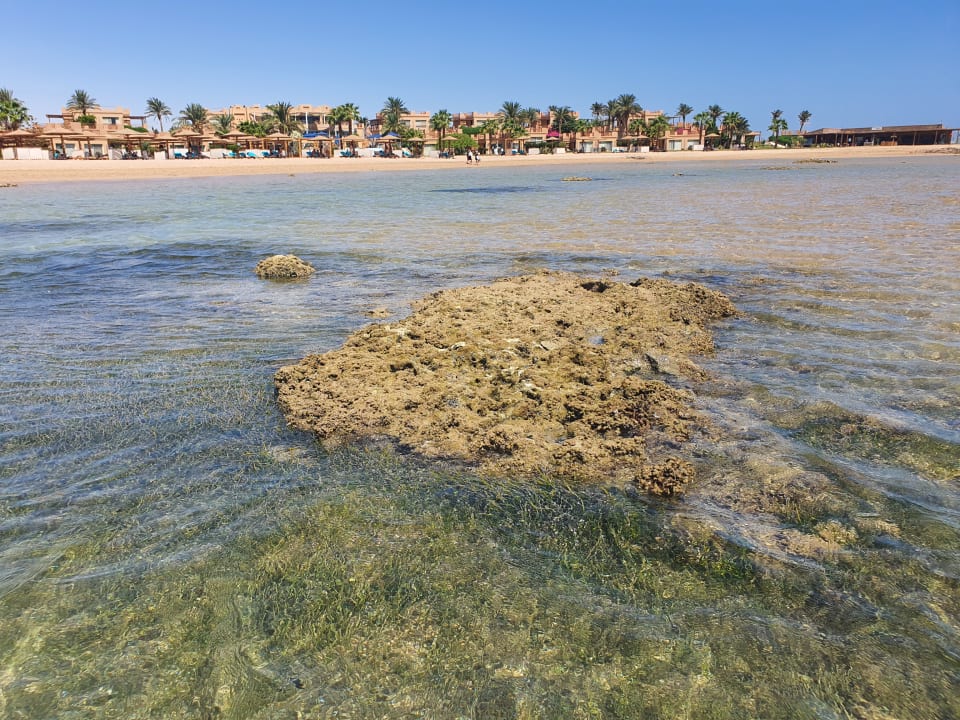 Strand Shams Prestige Abu Soma-Adults Only