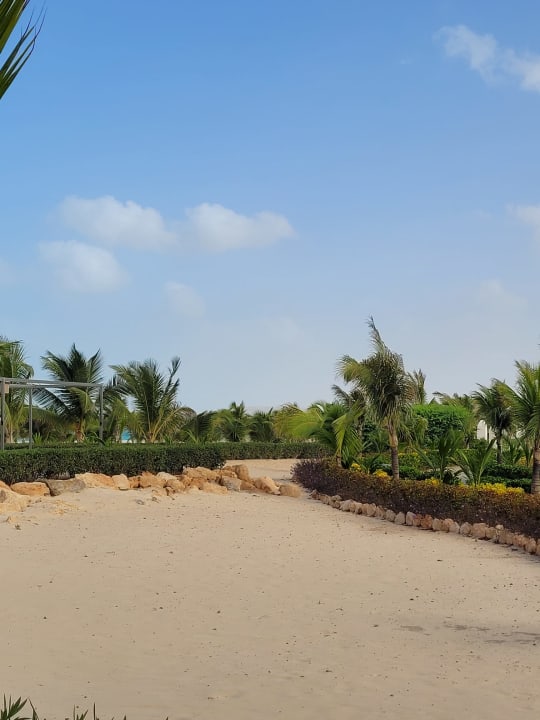 Gartenanlage Hotel Riu Palace Boavista