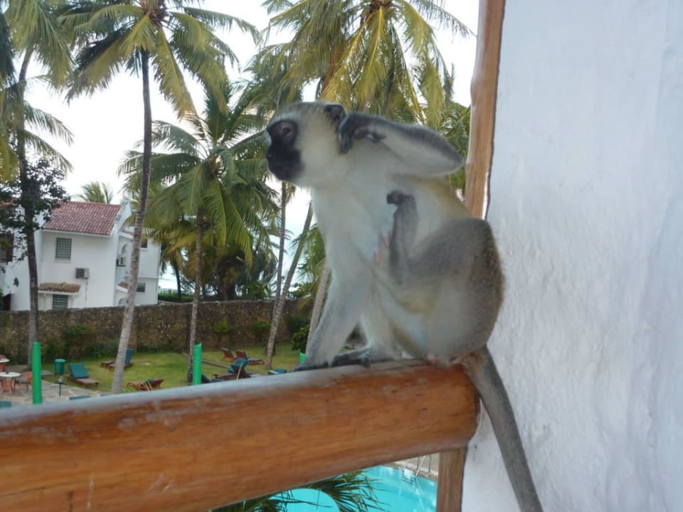 Besuch auf dem Balkon Hotel Traveller's Club