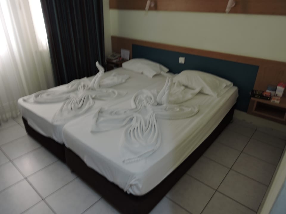 Zimmer Hotel Aslan City Kleopatra