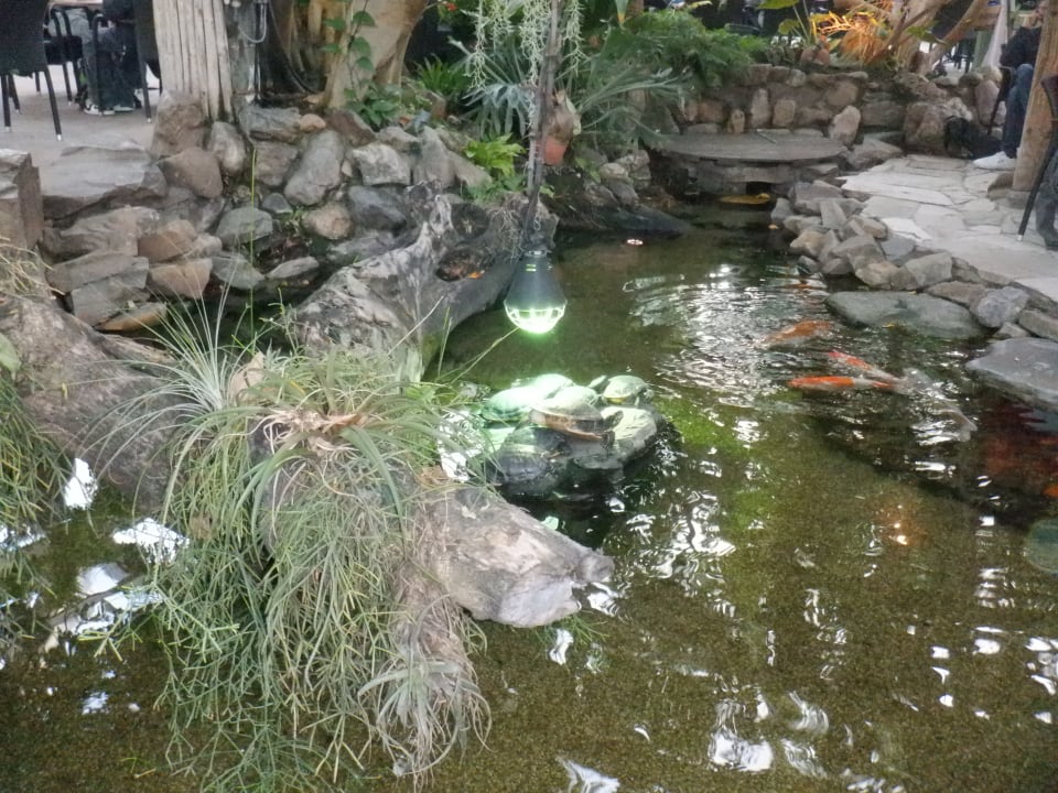 Sonstiges Center Parcs De Kempervennen