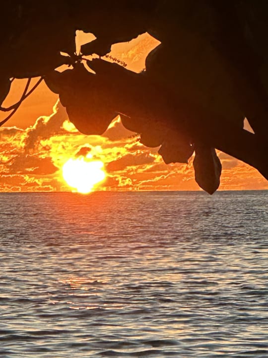 Ausblick STORY Seychelles