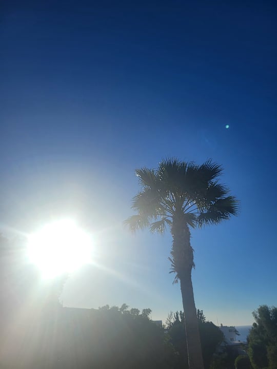 Ausblick allsun App.-Hotel Esquinzo Beach