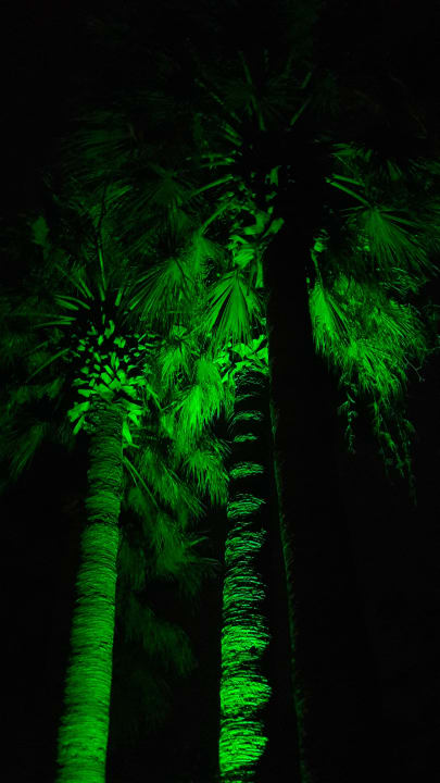 Gartenanlage Megasaray Club Belek
