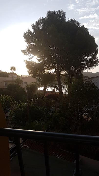 Ausblick FLOR los Almendros Hotel