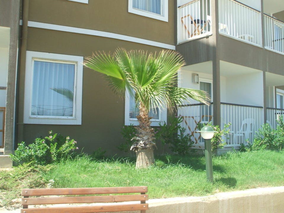 Rund ums Hotel Marvida Family Eco