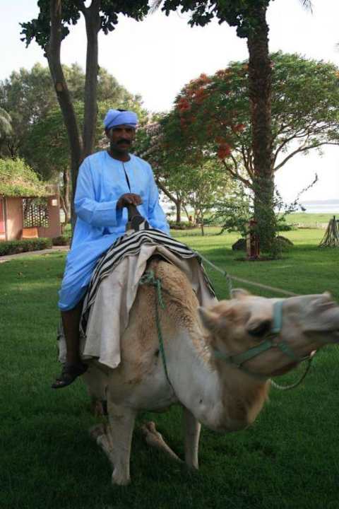 Das hauseigene Domedar II Jolie Ville Kings Island Luxor