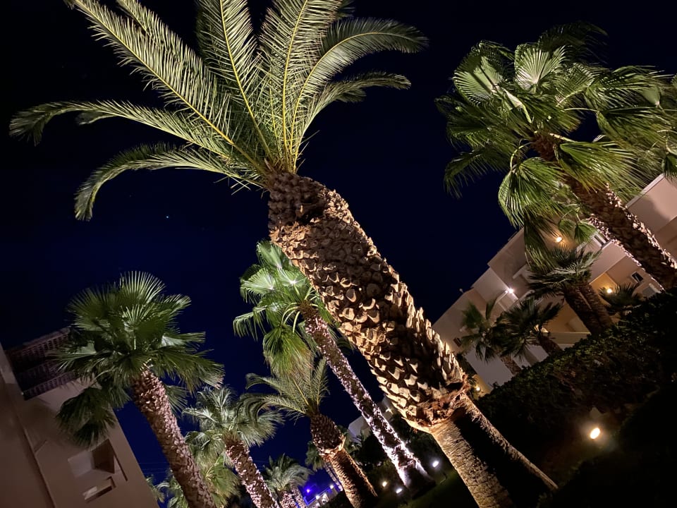 Außenansicht Grand Hotel Holiday Resort