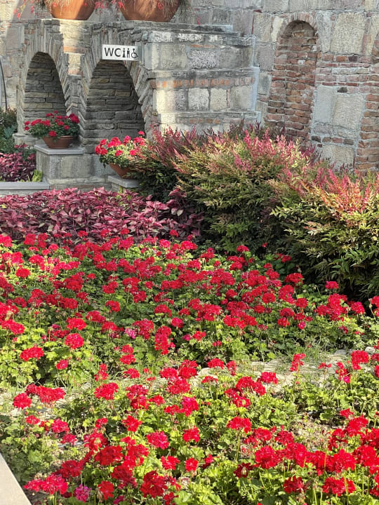 Gartenanlage Arum Barut Collection