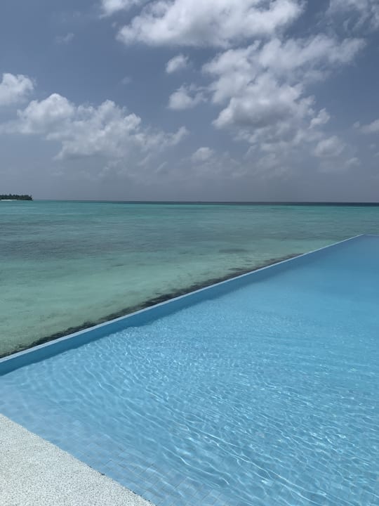Pool Summer Island Maldives