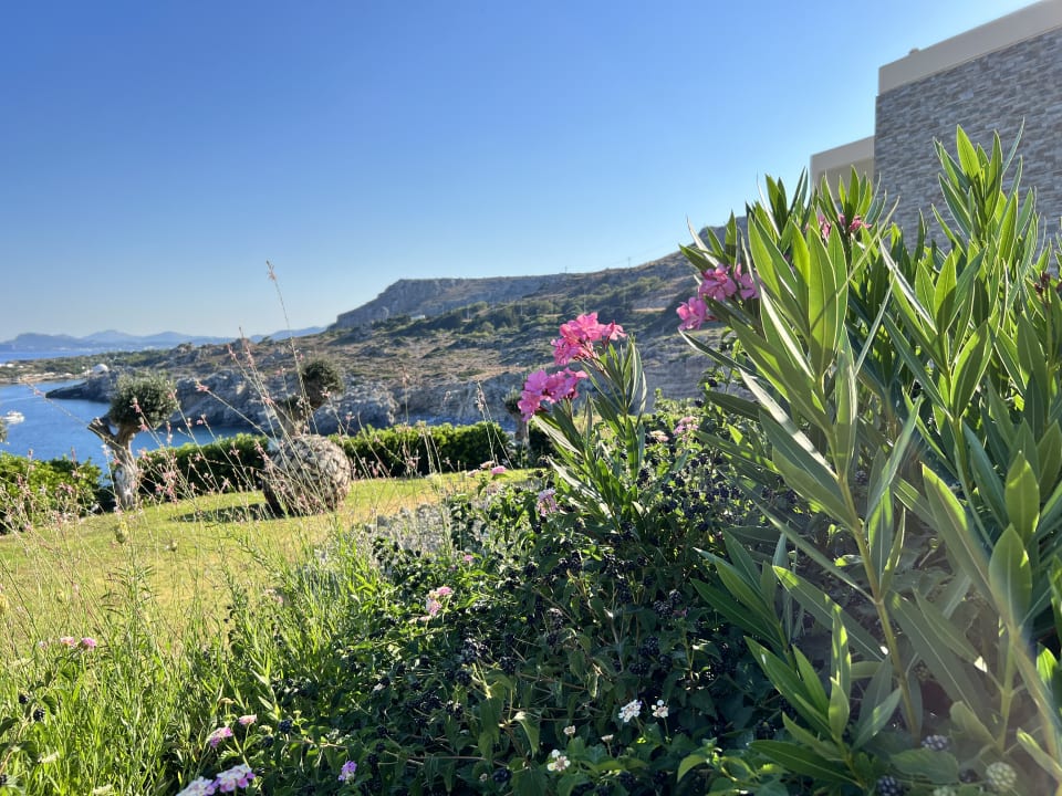 Gartenanlage Hotel Kalithea Horizon Royal