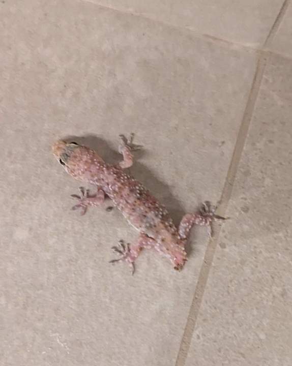 Sonstiges Zeus Hotels Ydoria Resort