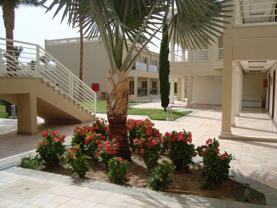 Gartenanlage Beach Albatros Resort