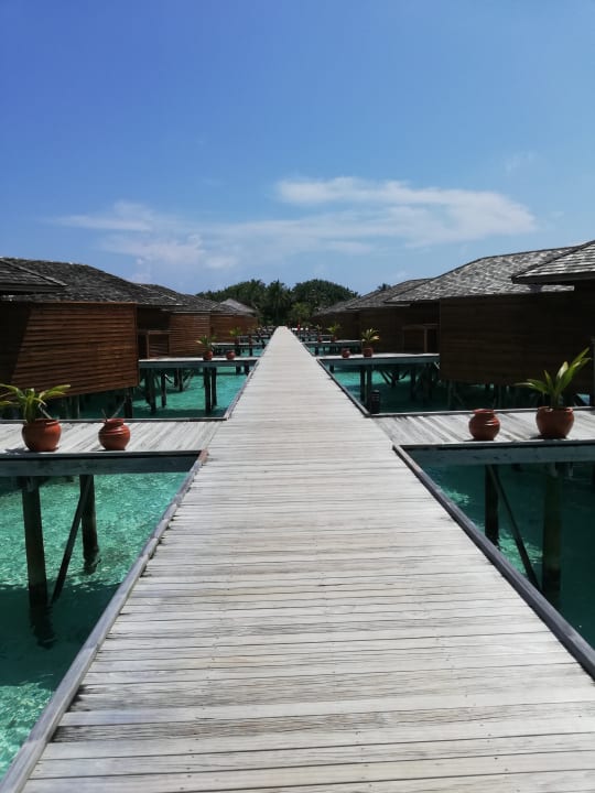 Sonstiges Vilamendhoo Island Resort & Spa