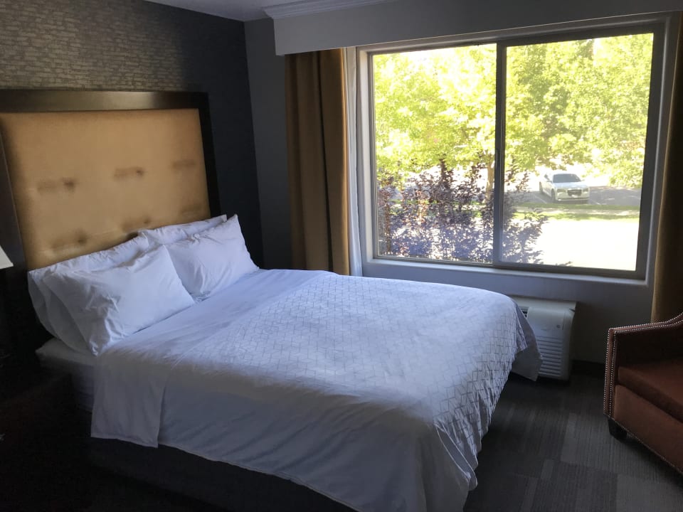 Zimmer Holiday Inn Express & Suites Page - Lake Powell Area