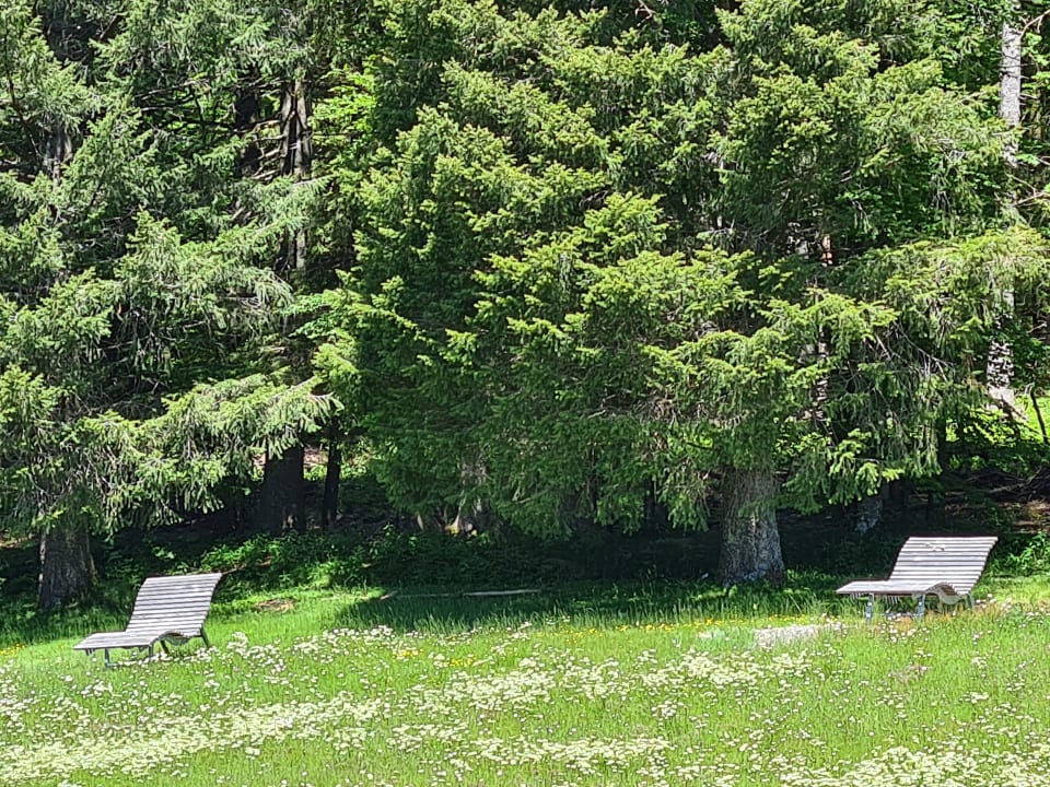 Gartenanlage Waldhotel am Notschreipass