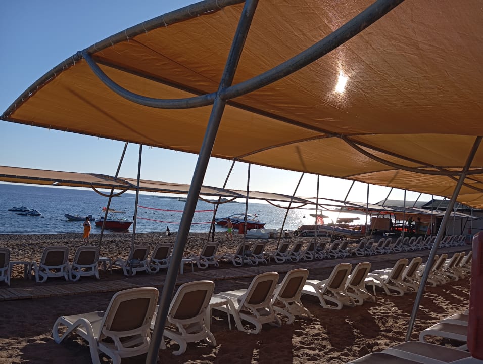 Strand Arycanda Kirman Premium